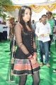 Actress Trisha Latest Pictures, Tamil Actress Trisha Latest Pics