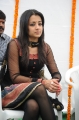 Actress Trisha Latest Pictures, Tamil Actress Trisha Latest Pics