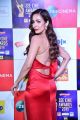 Actress Malaika Arora @ Zee Cine Awards 2019 Red Carpet Photos