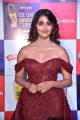 Actress Pooja Hegde @ Zee Cine Awards 2019 Red Carpet Photos