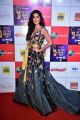 Actress Katrina Kaif @ Zee Cine Awards 2019 Red Carpet Photos