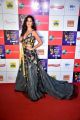 Actress Katrina Kaif @ Zee Cine Awards 2019 Red Carpet Photos