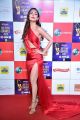 Actress Malaika Arora @ Zee Cine Awards 2019 Red Carpet Photos