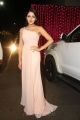 Actress Sayesha Saigal @ Zee Telugu Apsara Awards 2017 Red Carpet Stills
