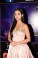 Actress Tridha Choudhury @ Zee Telugu Apsara Awards 2018 Red Carpet Photos