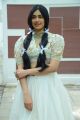 Kalki Movie Actress Adah Sharma New Pics