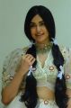 Actress Adah Sharma New Pics @ Kalki Movie Interview