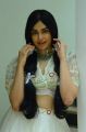 Kalki Movie Actress Adah Sharma New Pics