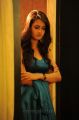 Telugu Actress Shanvi in Adda Latest Photos