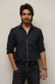 Actor Sushanth @ Adda Movie Platinum Disk Function Stills