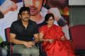 Nagarjuna, Naga Susheela @ Adda Movie Platinum Disk Function Stills