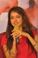 Actress Shanvi @ Adda Movie Success Meet Photos