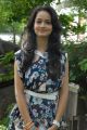 Actress Shanvi at Adda Movie Opening Stills