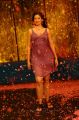 Lakshmi Rai Hot Photos in in Midriff Dress