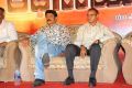 Adhinayakudu Triple Platinum Disc Function Photos