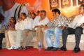 Adhinayakudu Triple Platinum Disc Function Photos