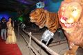 Actress Aditi Menon launches Animal Kingdom Photos