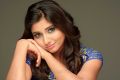 Actress Aditi Menon New Photoshoot Images