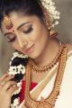 Tamil Actress Adhiti Menon Traditional Saree Photoshoot Stills