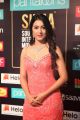 Actress Adhvithi Shetty Photos @ SIIMA Awards 2019