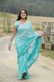 Telugu Actress Aditi Agarwal in Blue Saree Photos