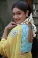 Telugu Actress Aditi Agarwal Saree Photos