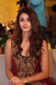 Actress Aditi Arya Stills @ ISM Audio Launch