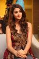 Actress Aditi Arya Stills @ ISM Audio Launch