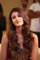 Actress Aditi Arya Stills @ ISM Audio Release