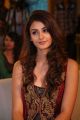 Actress Aditi Arya Stills @ ISM Audio Launch