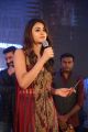 Actress Aditi Arya Stills @ ISM Audio Launch