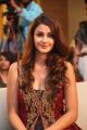 Actress Aditi Arya Stills @ ISM Movie Audio Launch