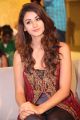 Actress Aditi Arya Stills @ ISM Movie Audio Launch