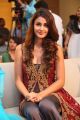 Actress Aditi Arya Stills @ ISM Audio Release