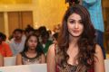 Actress Aditi Arya Stills @ ISM Movie Audio Launch