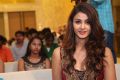 Actress Aditi Arya Stills @ ISM Audio Release