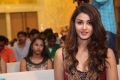 Actress Aditi Arya Stills @ ISM Audio Launch