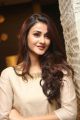 Actress Aditi Arya Photos @ BCL Logo Launch