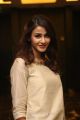 Actress Aditi Arya Photos @ Box Cricket League Logo Launch