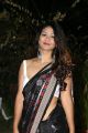 Actress Aditi Myakal Saree Pics @ Cinegoers Film Awards