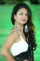Actress Aditi Myakal Hot Saree Pics @ 49th Cinegoers Film Awards Function