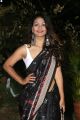 Telugu Actress Aditi Myakal Hot Saree Pics