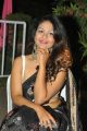 Actress Aditi Myakal Hot Saree Pics @ 49th Cinegoers Film Awards Function