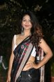 Actress Aditi Myakal Hot Saree Pics @ 49th Cinegoers Association Film Awards Presentation Ceremony