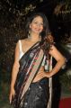 Actress Aditi Myakal Saree Pics @ Cinegoers Film Awards