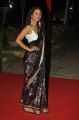 Actress Aditi Myakal Hot Saree Pics @ 49th Cinegoers Association Film Awards Presentation Ceremony