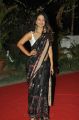 Actress Aditi Myakal Hot Saree Pics @ 49th Cinegoers Film Awards Function