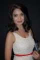 Actress Adonika Hot Photos at Aravind 2 Movie Music Launch