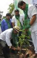 Adopt A Tree Challenge from Rajendra Prasad at Film Chamber, Hyderabad