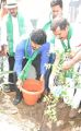 Adopt A Tree Challenge from Rajendra Prasad at Film Chamber, Hyderabad